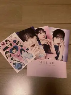 Item thumbnail for item 9c084e4f-858a-41a2-99d5-fedcecbe0490