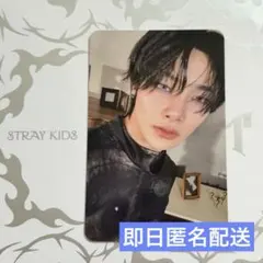 straykids i.n do it スキズ　アイエン　スピーカー　トレカ