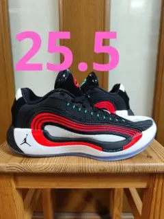 Nike Jordan Luka 4 ナイキ ジョーダン ルカ4 25.5cmのサムネイル