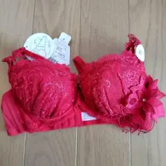 Duc Pede B75 レッド ブラジャーのサムネイル