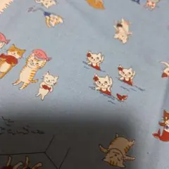 50×50　水着の猫たち　ライトブルー　生地　はぎれ　夏　プール　海