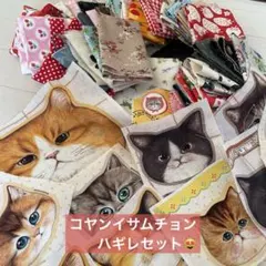 コヤンイサムチョン 生地