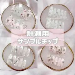 計測用サンプルチップ