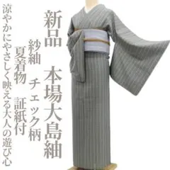 プロフ必読☆夏大島 プロフ必読☆夏大島☆本場大島紬