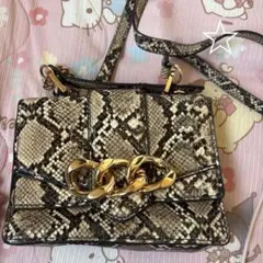 ⭐︎ZARA ショルダーミニバッグ