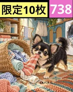 限定10枚！　レアパネル生地　無くなり次第終了です　6犬種パネル
