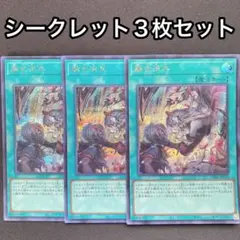 2026年最新】遊戯王 融合派兵 シークレットの人気アイテム - メルカリ