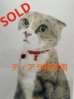 ティアラ様専用　お取り置き