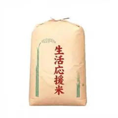 茨城県産 令和7年コシヒカリ 玄米 30kg 精米無料 - メルカリ