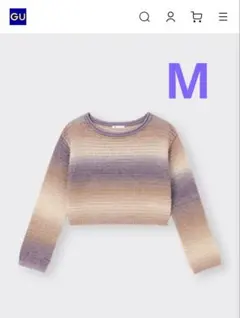 ライトヘアリーグラデーションセーター　M