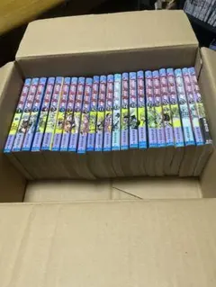 STEEL BALL RUN 1〜24巻 全巻セット