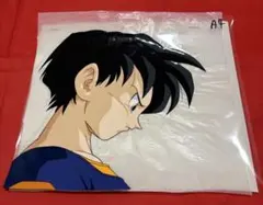 ドラゴンボール GT 背景合致 セル画 ビーデル ＆ パン - メルカリ