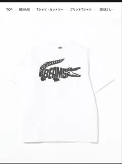 LACOSTE ホワイト Tシャツ BEAMSロゴ サイズ1