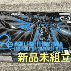 マイティーストライクフリーダムガンダム イナズマロックフェス2025