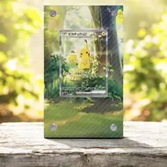 ピカチュウex SAR スタートデッキ100 専用ディスプレイフレーム