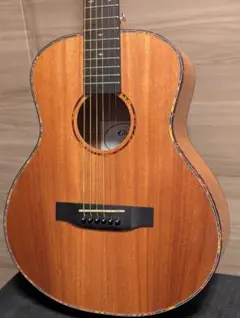 2026年最新】mini guitarの人気アイテム - メルカリ