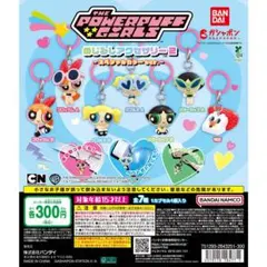パワーパフガールズ めじるしアクセサリーセット