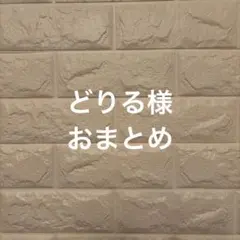 どりる様 リクエスト 2点 まとめ商品