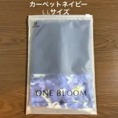 Item thumbnail for item e705775a-ad94-4fcd-bf52-9d34f4dfa9ac