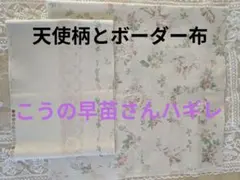 こうの早苗さん