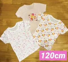 子供服 キッズ服 半袖 肌着 女の子 120サイズ くまのがっこう