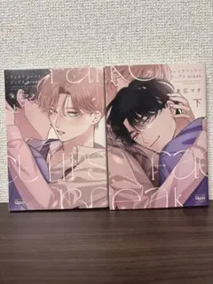 フェイクファクトリップス break