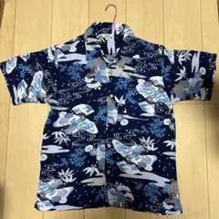 Item thumbnail for item 6ee3e113-0774-4b40-8a86-eeec7dfc6f19