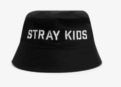 2025年最新】straykids 5star tシャツの人気アイテム - メルカリ