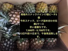 甘い樹実り完熟スナックパイン❣️生産量日本一の東村のパイナップル