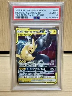 2026年最新】ピカチュウ&ゼクロム psa10の人気アイテム - メルカリ