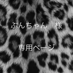 ぶんちゃん 様　専用ページ