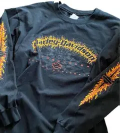 Harley-Davidson ハーレーダビッドソン ロンT 長袖 ファイヤー