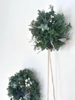 2025年最新】フライングリースの人気アイテム - メルカリ