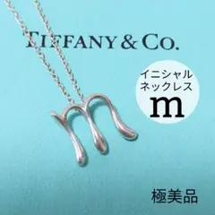 2026年最新】ティファニー イニシャル ネックレスの人気アイテム