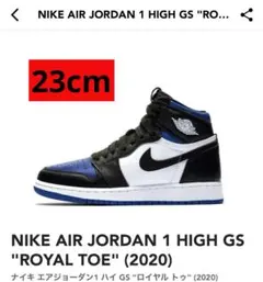 NIKE AIR JORDAN 1 HIGH GS 箱有【美品】