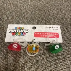 【新品未使用】USJ スーパーマリオ　めじるしチャームセット