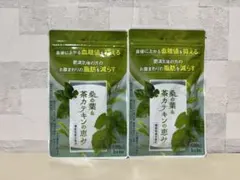 和漢の森 桑の葉&茶カテキンの恵み 2袋 - メルカリ