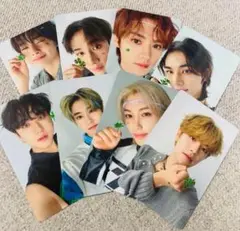 StrayKids スキズ social path 通常盤封入 コンプセット