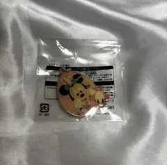 ディズニー ディズニーランド ミニー イースター チャーム 2019 비매품