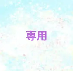 専用