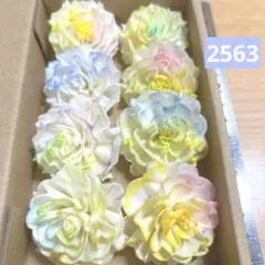 ソラフラワー　2563