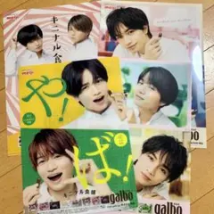 ふまけん ガルボ クリアファイル＆下敷き