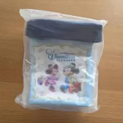 新品 未使用 バケーションパッケージ ポップコーンバケット ディズニー バケパのサムネイル