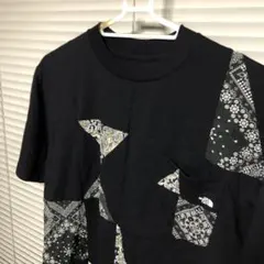ノースフェイスパープルレーベル黒T Ｍ