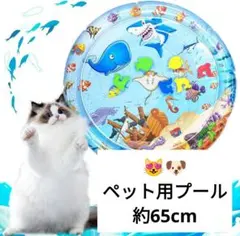 Item thumbnail for item ac81ae29-3a06-464f-ab0a-47a947cfd67f