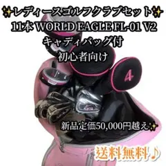 ✨レディースゴルフクラブセット 11本 WORLD EAGLE FL-01 V2のサムネイル