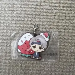 tinytan Vキーホルダー