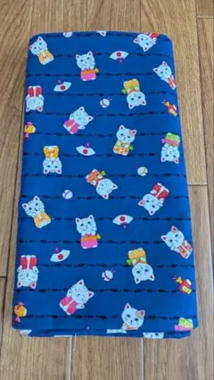 Item thumbnail for item 7d67db29-8625-4a81-ad3c-68f3439b44d6