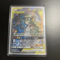 レシラム＆ゼクロムGX SR SM11b ドリームリーグ 064/049