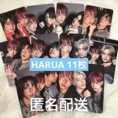 &TEAM HARUA ハルア ユニットトレカ 11枚セット